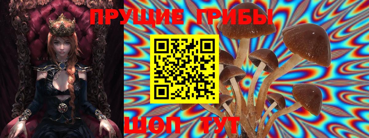 Псилоцибиновые грибы GOLDEN TEACHER  где купить наркоту  Нижнеудинск  Вход с VPN  Галлюциногенные грибы прущие грибы 