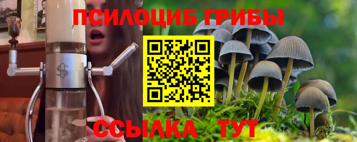 Псилоцибиновые грибы мухоморы Нижнеудинск
